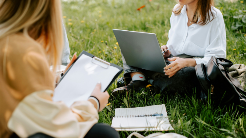 University & Course Guides